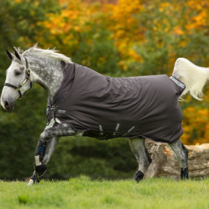 Horseware Amigo Bravo 12 Wug 250 g