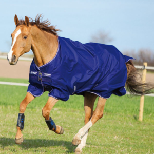 Amigo Hero 900 Pony
