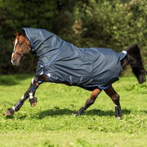 Amigo Bravo 12plus T/O Lite 0gr Navy/Strong Blue Disc Front 115