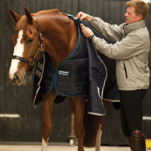 Horseware Liner och yttertäcke