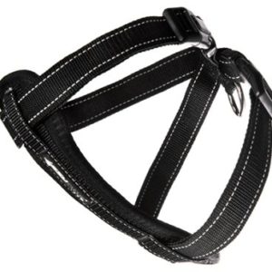 Ezydog Promenad/Bilsele Svart XXL
