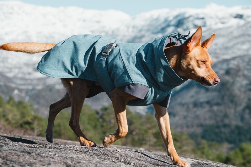 hurtta-expeditionparka-detalj-4-stallbyggen