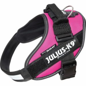 Julius K9 IDC-sele 0 Mörkrosa