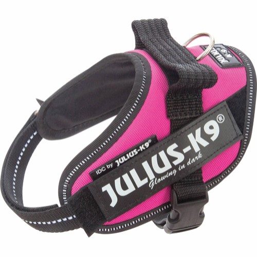 julius-k9-idc-mörkrosa-mini-mini-stallbyggen