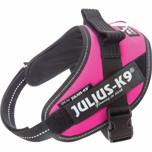 julius-k9-idc-mörkrosa-mini-stallbyggen