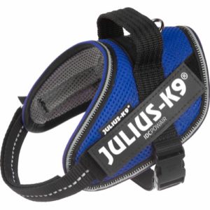 Julius K9 IDC S (mini) Blå Powair