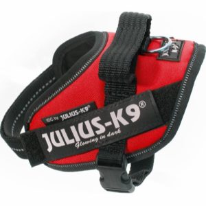 Julius K9 IDC-sele Mini-Mini Röd