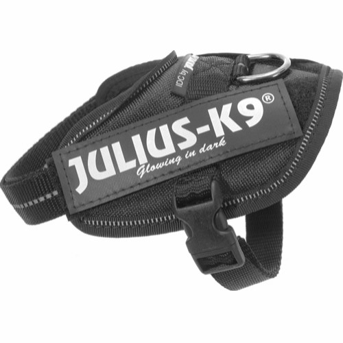julius-k9-idc-svart-baby2-stallbyggen