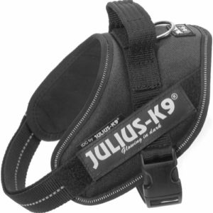 Julius K9 IDC Mini Svart