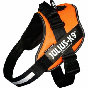 Julius K9 IDC-sele 0 UV Orange