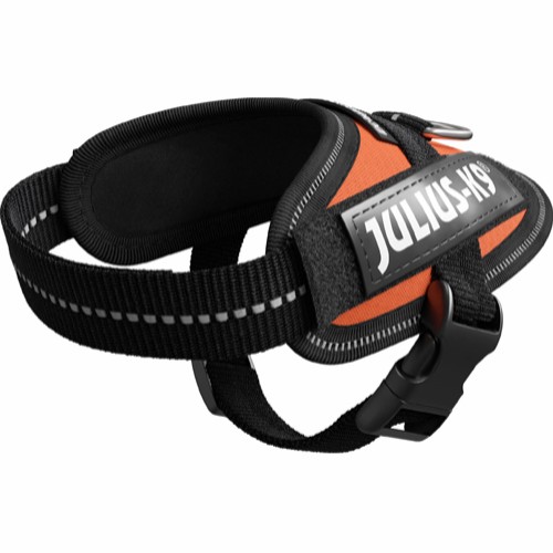 julius-k9-idc-uvorange-baby1-stallbyggen