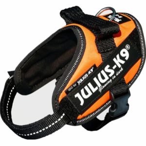 Julius K9 IDC-sele Mini-Mini UV Orange