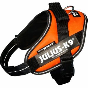 Julius K9 IDC-sele Mini UV Orange