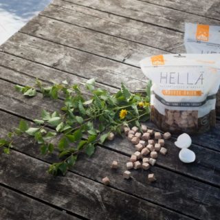 mush-hellä-sammlingsbild-stallbyggen