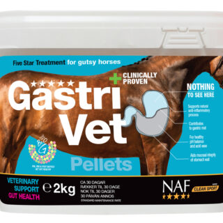 GastriVet_R02_2kg-mock-up+