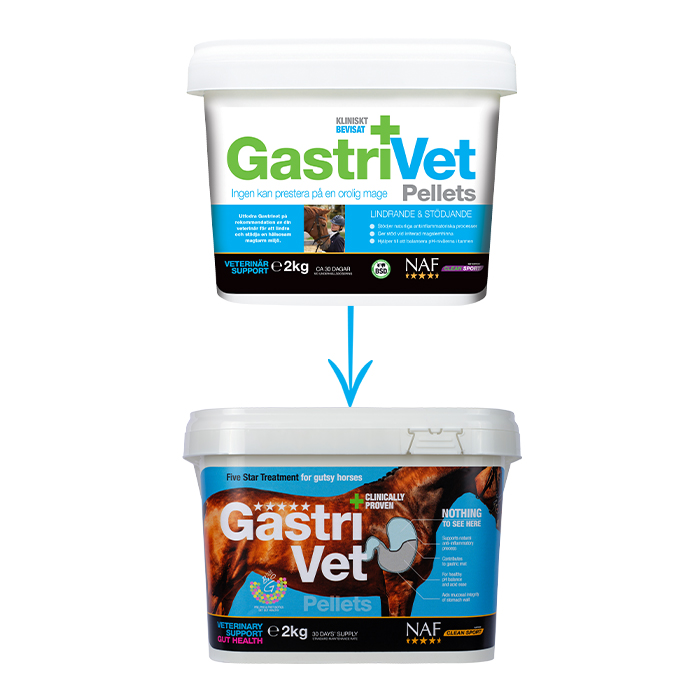 NAF-SE-GastriVet-image-V2-22