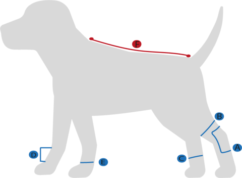 bot-size-hund-stallbyggen