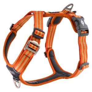 Dog Copenhagen Comfort Walk Air Sele Orange Sun