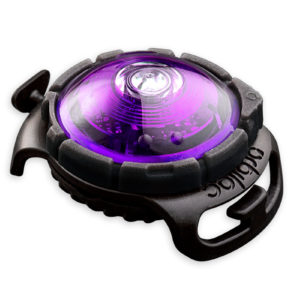 Orbiloc Lila Dual