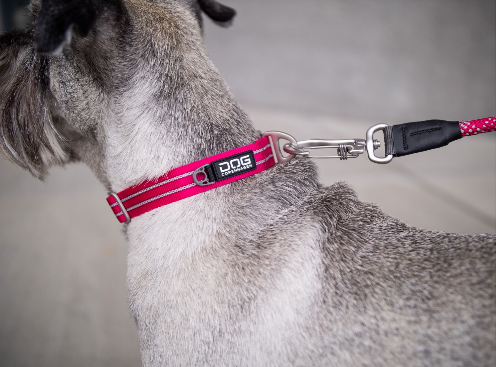 urban-style-halsband-rose-stallbyggen-3