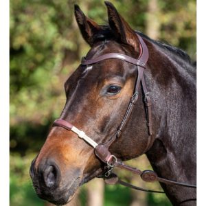 Dyón Bettlöst träns Nut Cob