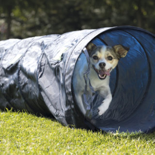 Trixie-agilitytunnel-stallbyggen-2