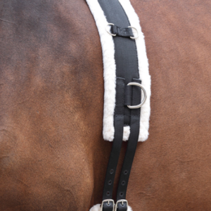 Shires Longeringsgjord Cob