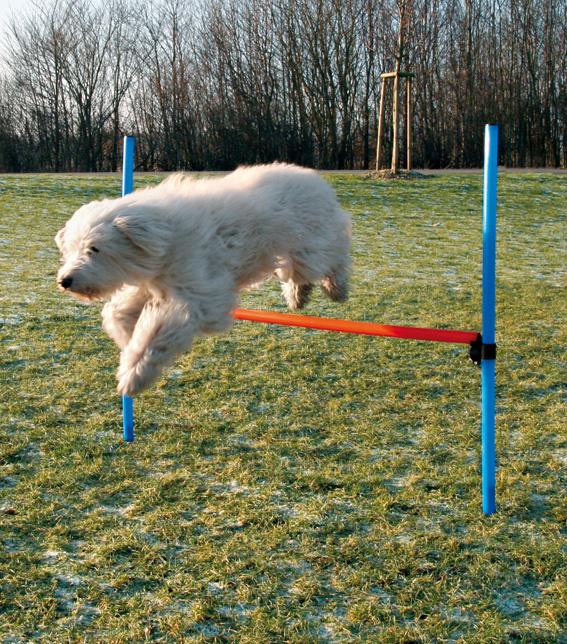 trixie-agility-hinder-stallbyggen