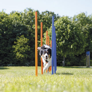 trixie-agility-slalompinnar-stallbyggen-2