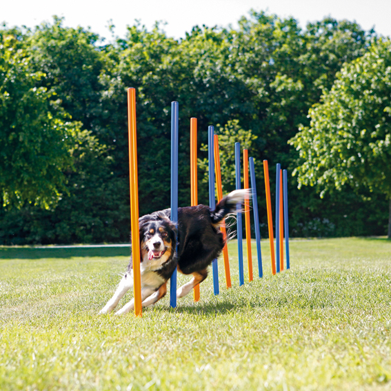 trixie-agility-slalompinnar-stallbyggen