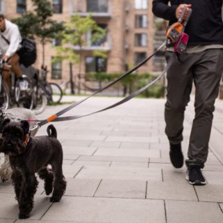 urban-trail-koppel-orenge-sun-dog-copenhagen-stallbyggen-5
