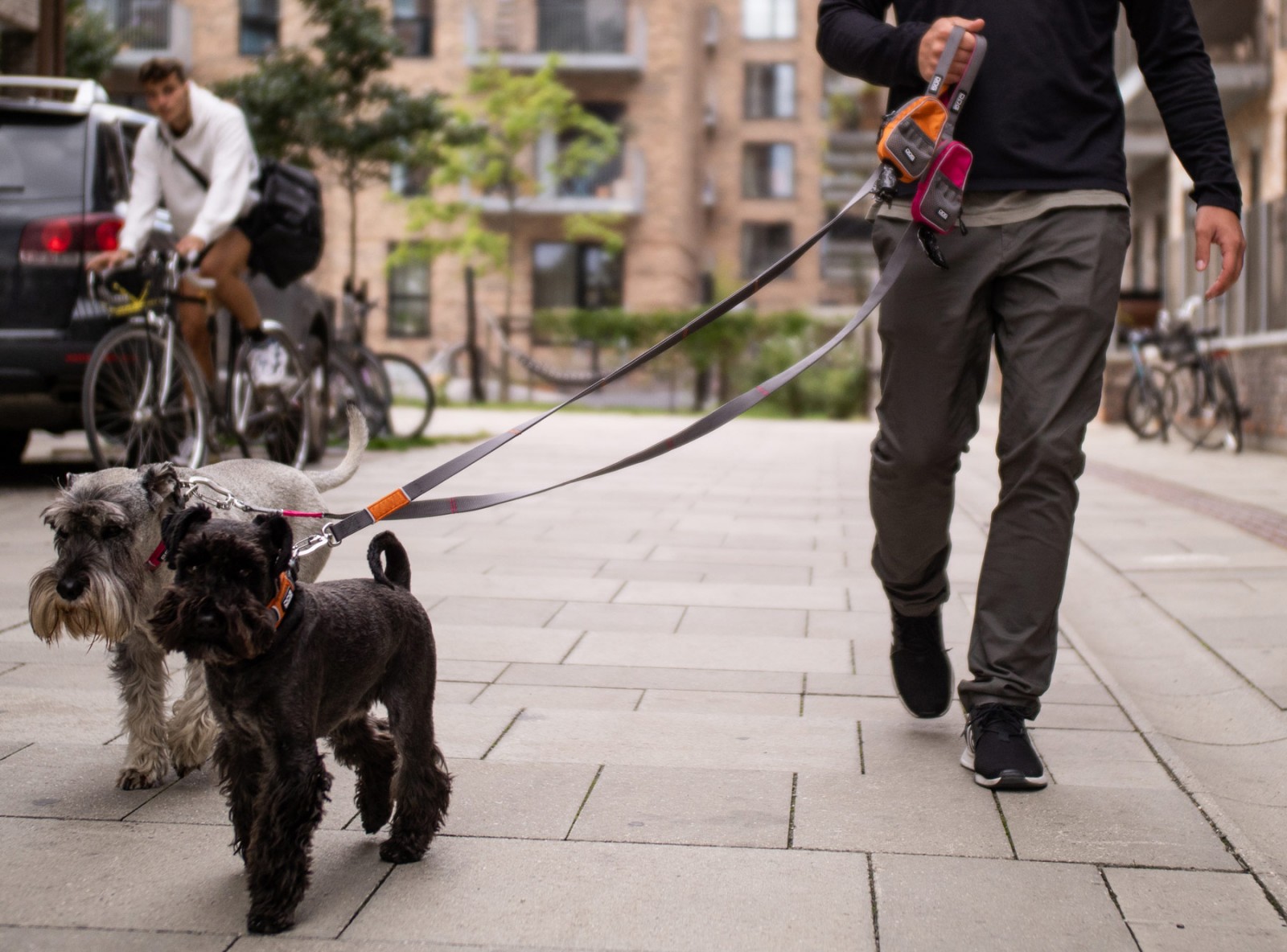 urban-trail-koppel-orenge-sun-dog-copenhagen-stallbyggen-5