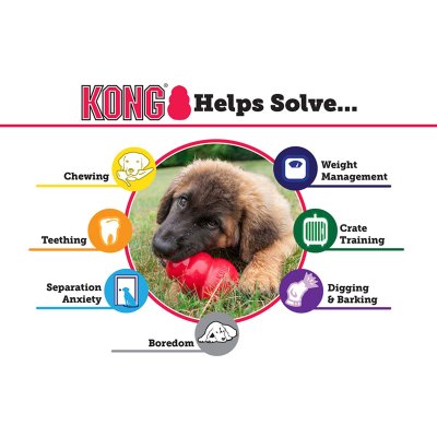 kong-senior-lila-L-stallbyggen-5