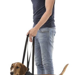 trixie-promenadhjälp-stallbyggen-3