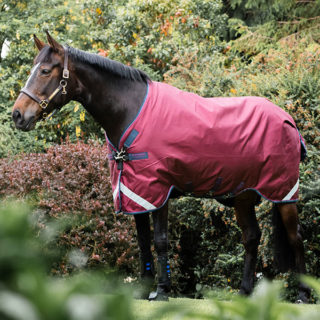 AAAA05-QQGB-Horse-Blanket-Rambo-Original-Turnout-V-Front-Closure-Burgu