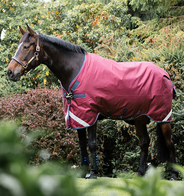 AAAA05-QQGB-Horse-Blanket-Rambo-Original-Turnout-V-Front-Closure-Burgu