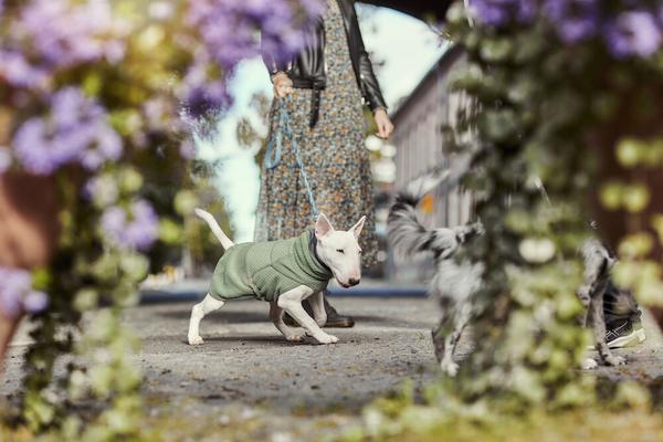 hurtta-razzle-dazzle-midlayer-bjärnbär-stallbyggen-4