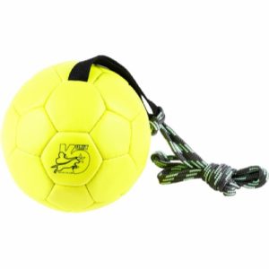 Julius K9 Show Träningsboll 170mm gul