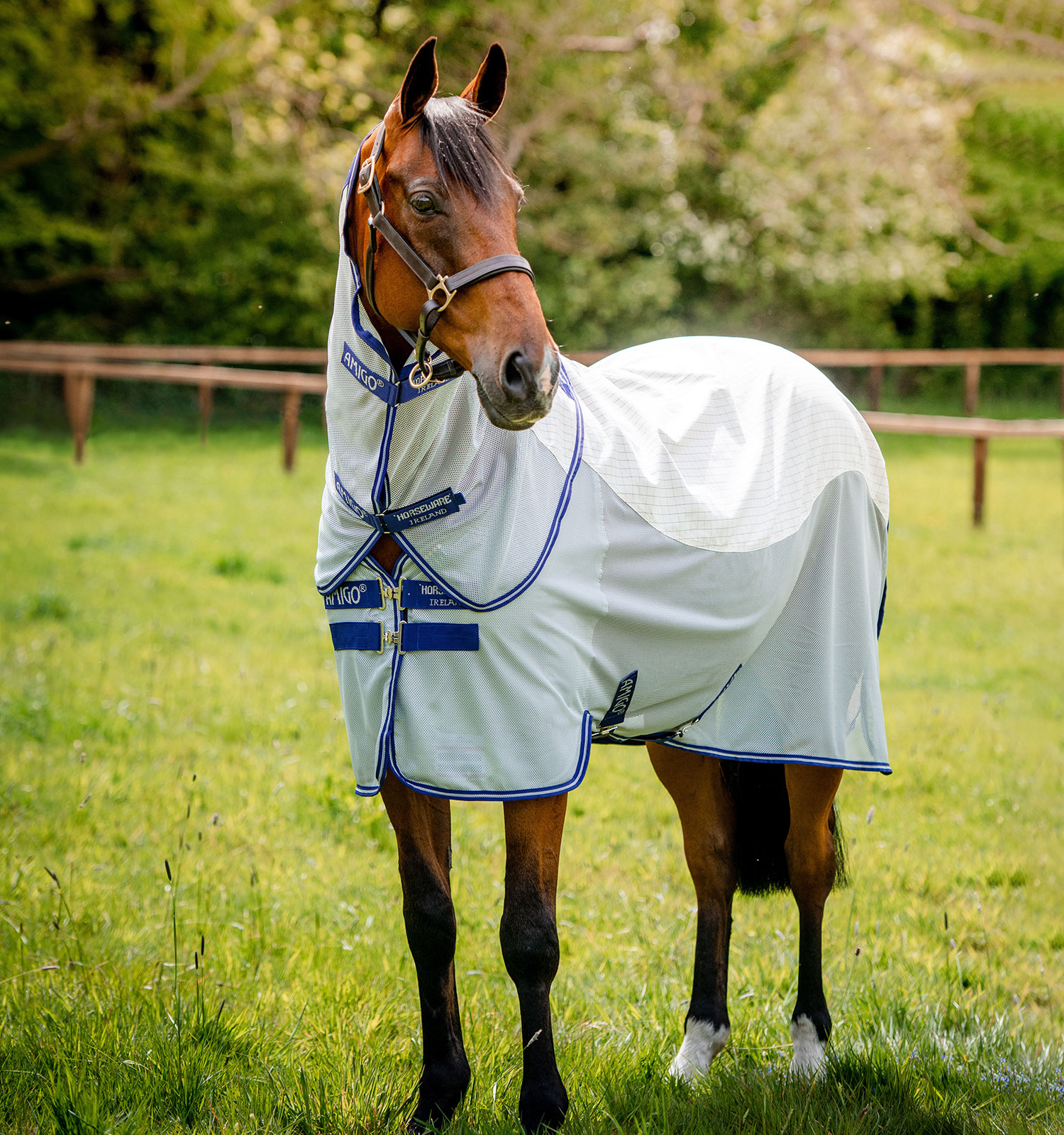 Amigo-Airflow-fly-blanket-horseware_flugtäcke