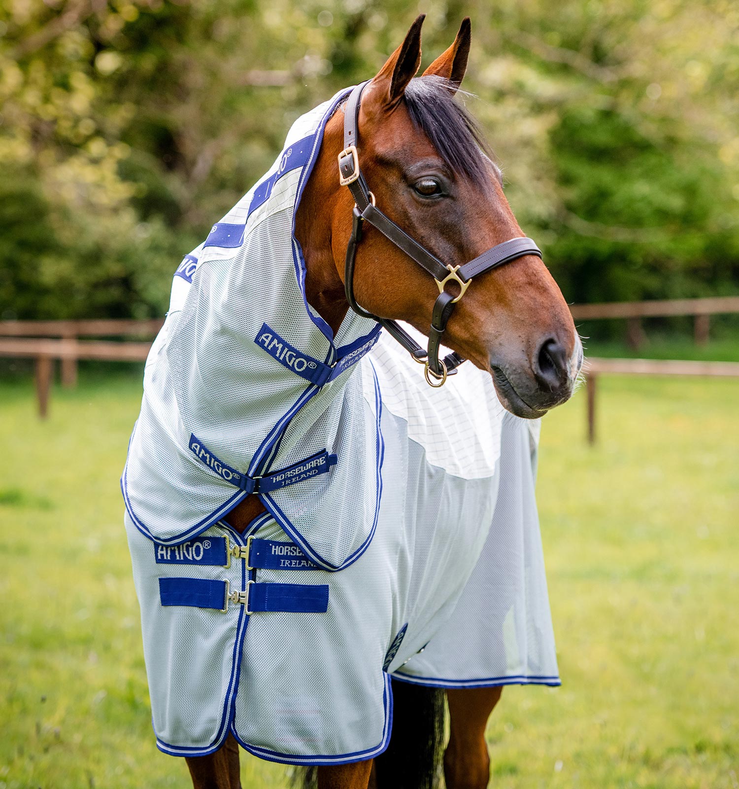 Amigo-Airflow-fly-blanket-horseware_flugtäcke