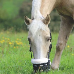 Shires gräsreducerare Ludd SPonny