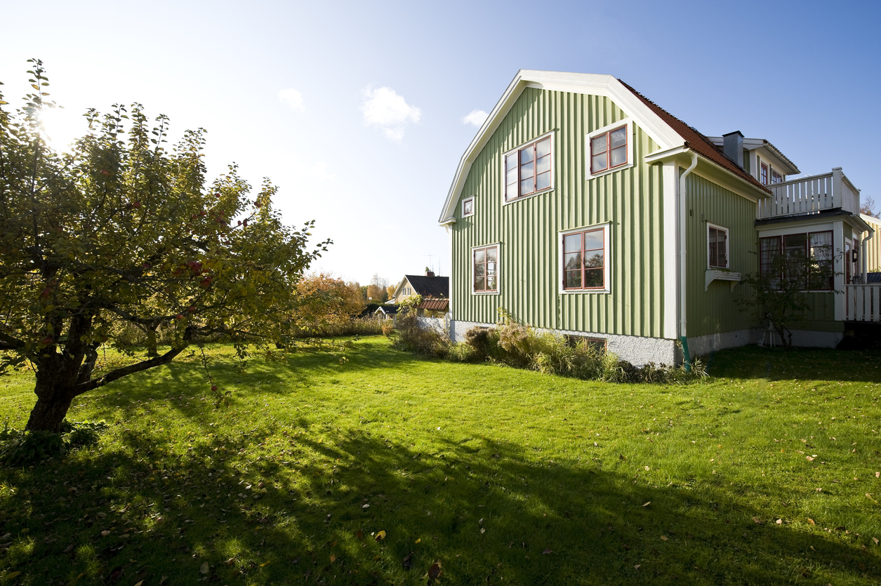 Hem & trädgård