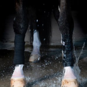 Incrediwear Equine Circulation Bandages Pair 12,5cm Black