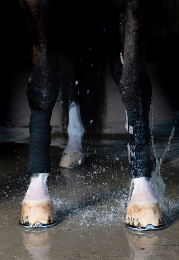 incrediwear_bandage_svart