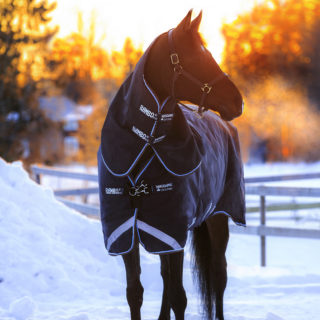 rambo_duo_horseware