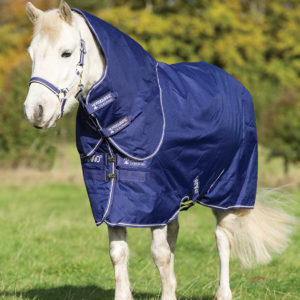 Amigo Hero 900 T/O Atlantic Blue Plus 200gr Pony 100