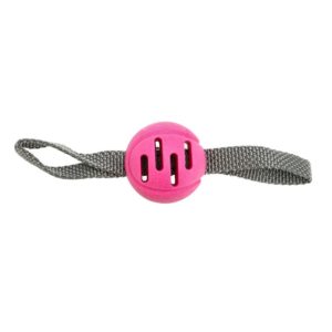 Dogman Leksak FetchBall rosa
