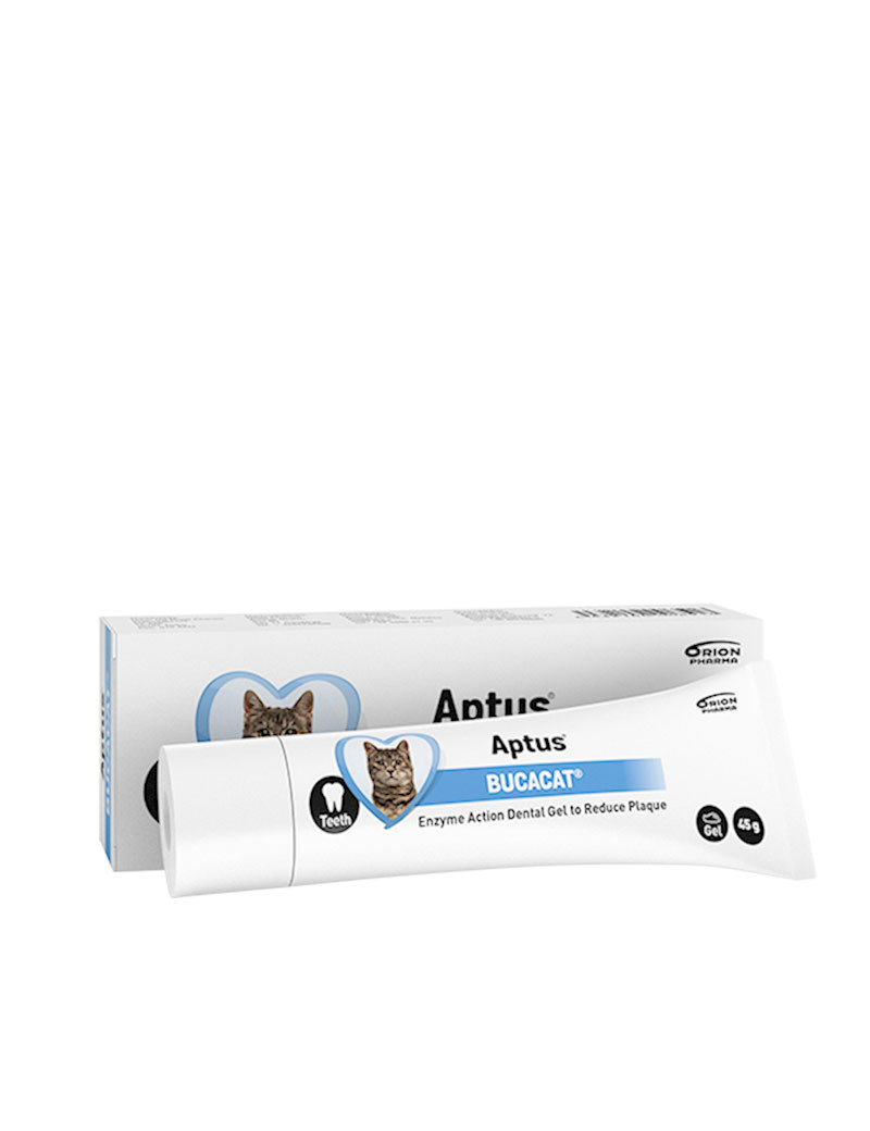 Bucacat-dental-gel-stallbyggen