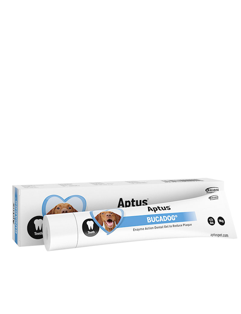 Bucadog-dental-gel-stallbyggen