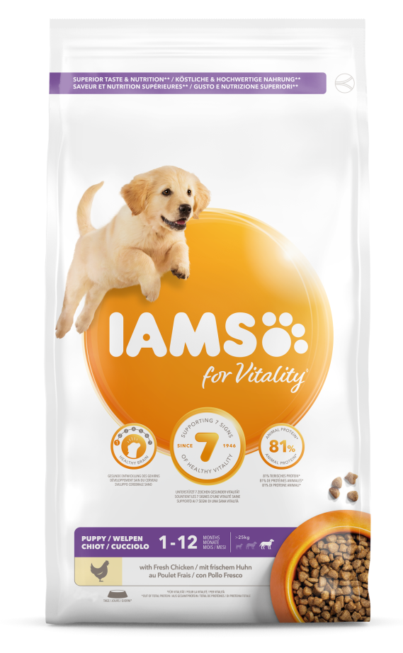Iams-puppy-l-stallbyggen
